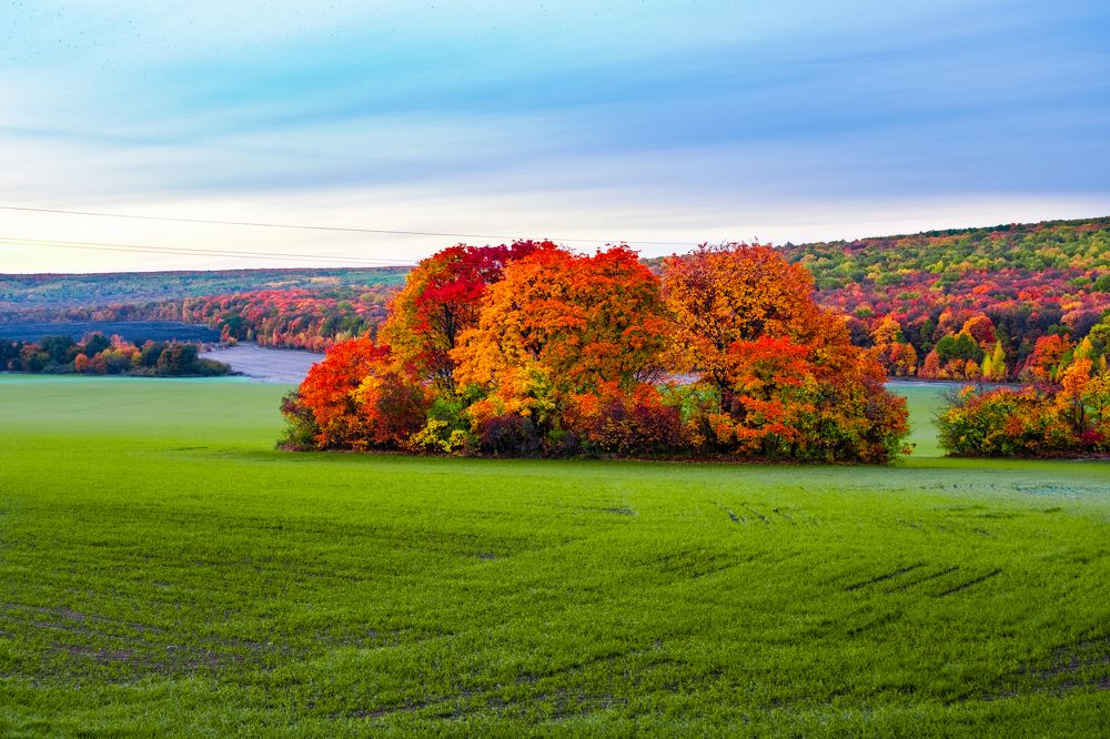 Photograph by Алексей Шалашов