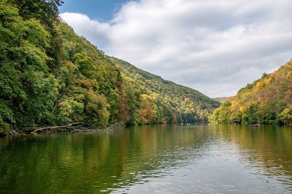 Photograph by Zsuzsa Décsi