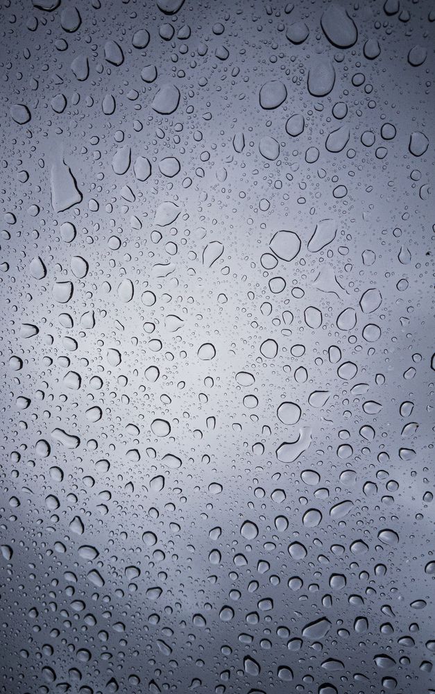 Photograph by Vessella