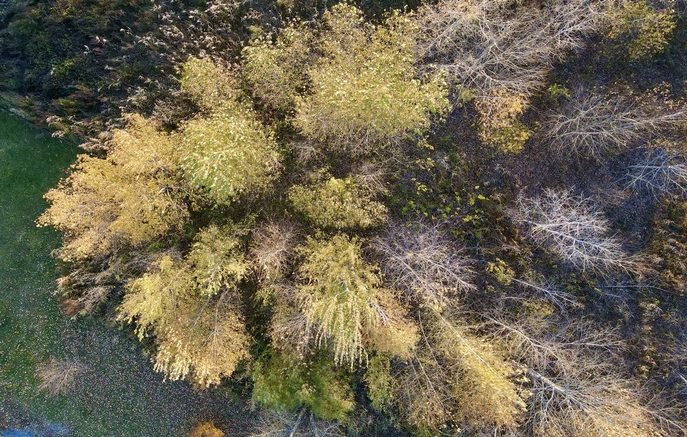 Photograph by Сергей Лысюк