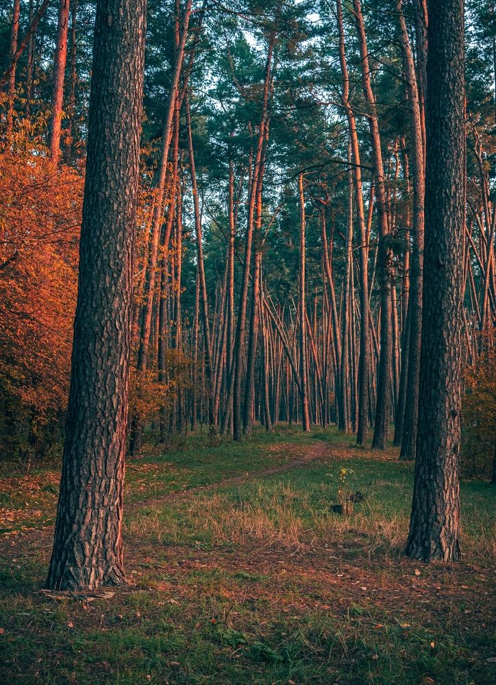 Photograph by Александр