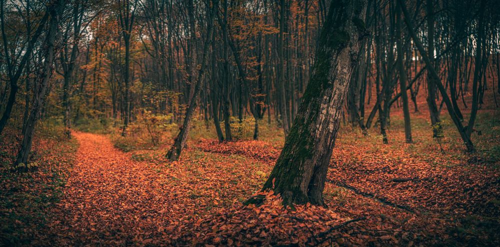 Photograph by Александр