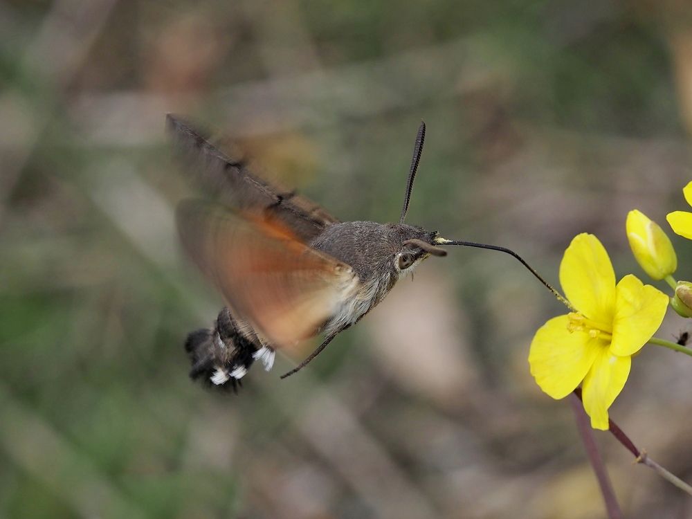 Photograph by Александр Петренко