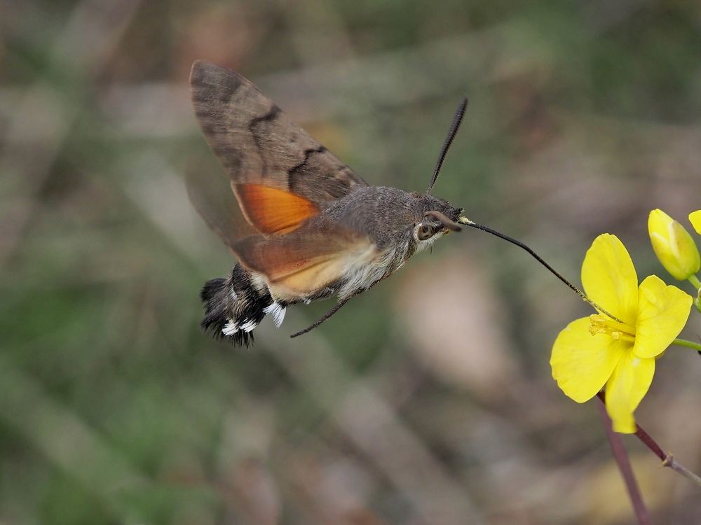 Photograph by Александр Петренко