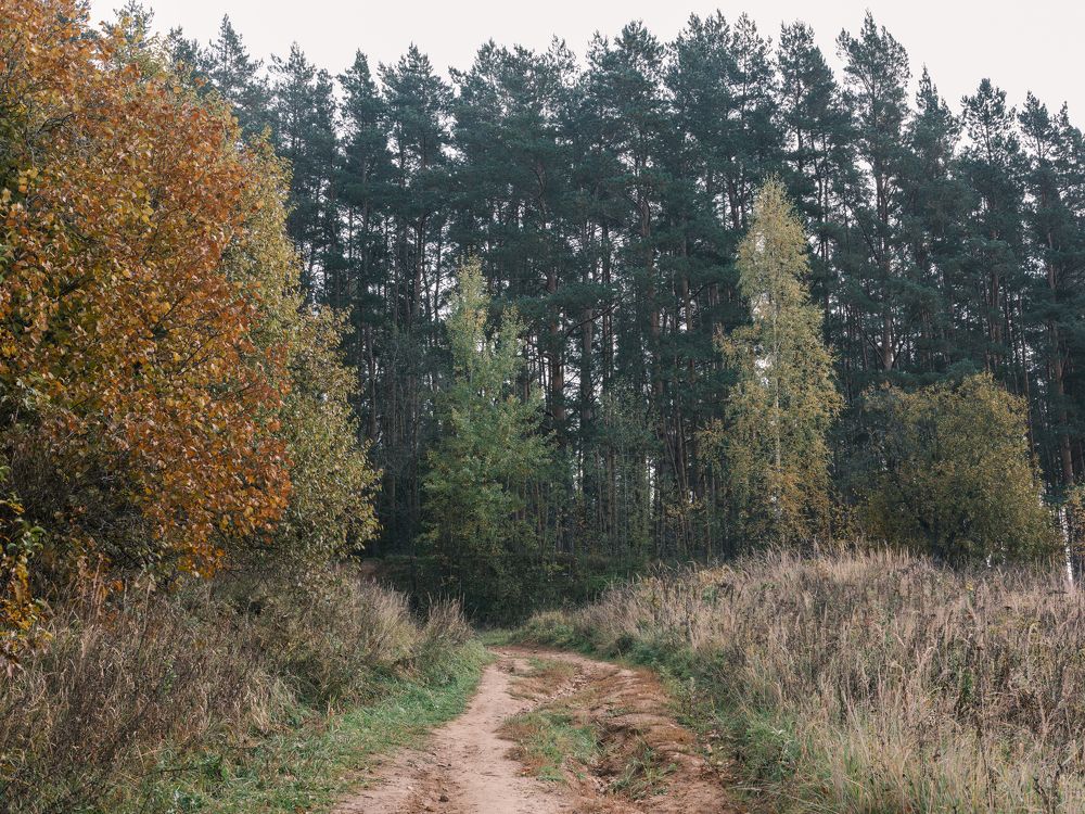 Photograph by Никита Мальцев