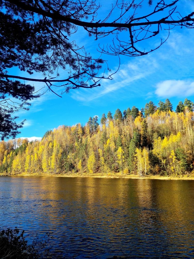 Photograph by Farah Ali