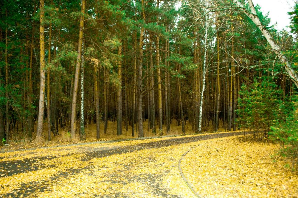 Photograph by Анжелика Трошина