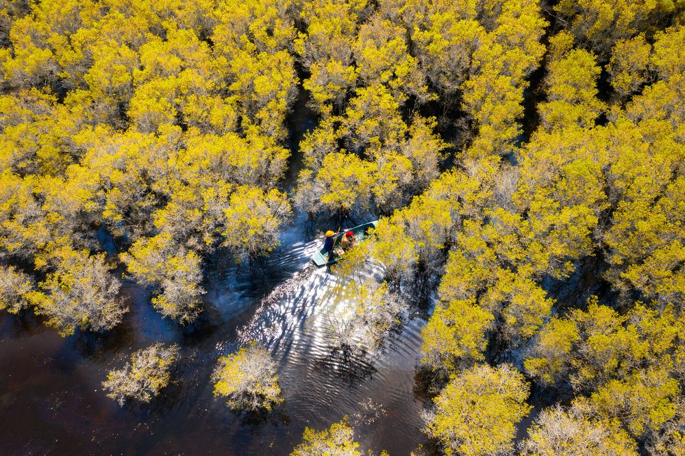 Photograph by Nguyen sanh quoc huy