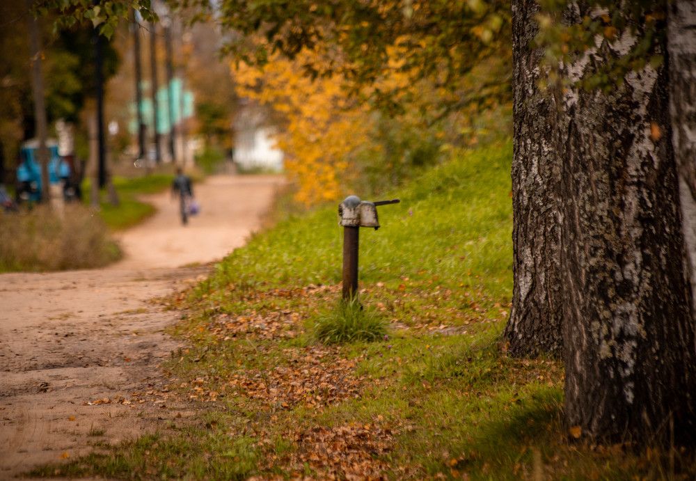 Photograph by Ольга Сафронова