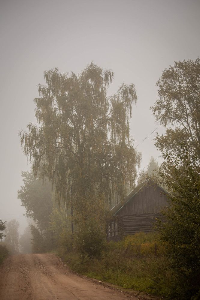 Photograph by Ольга Сафронова