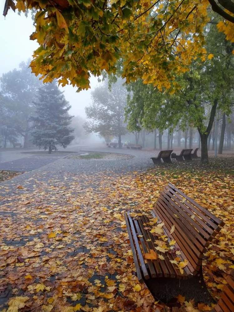 Фотография автора Ирина Васильченко