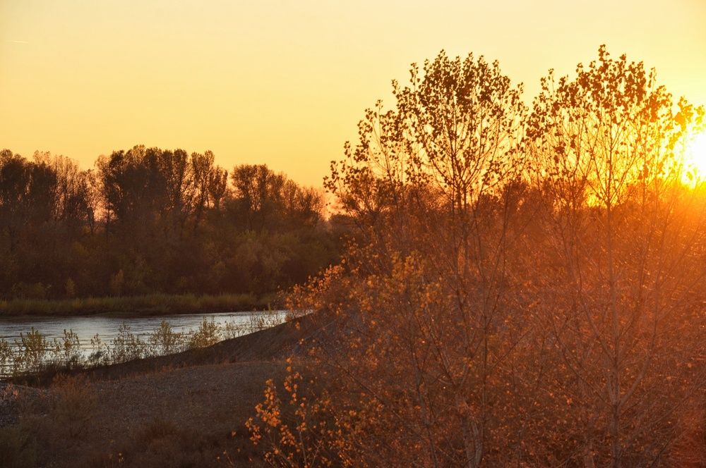 Photograph by Елена Леоненко