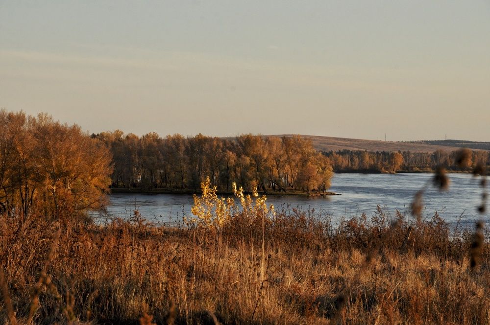 Photograph by Елена Леоненко