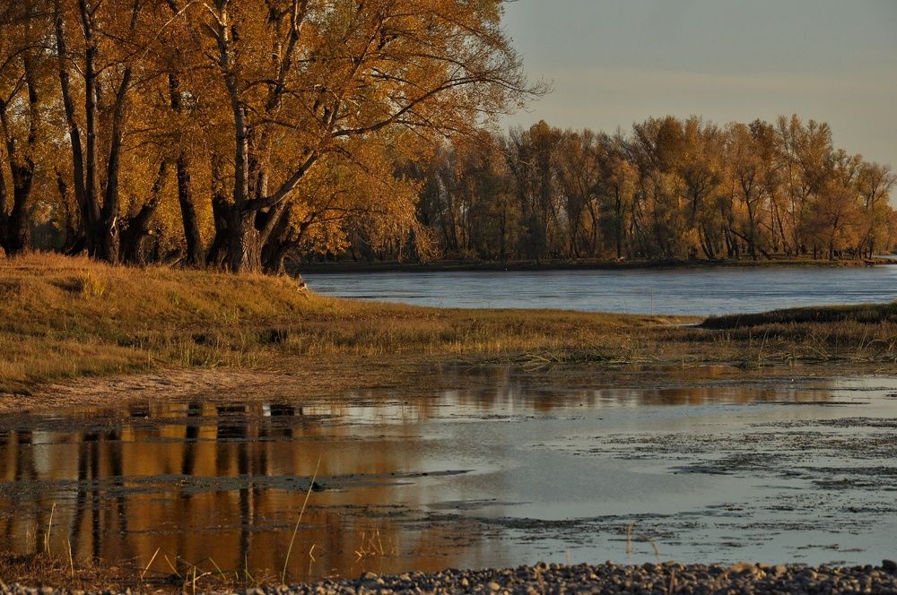 Photograph by Елена Леоненко