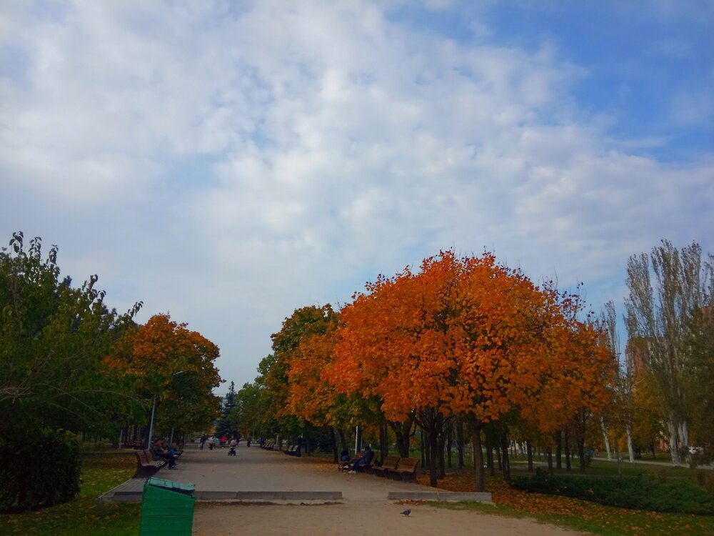 Фотография автора Ирина Васильченко