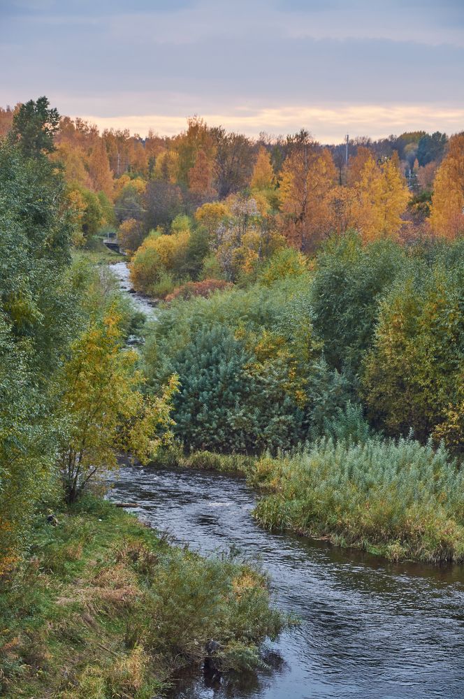the river and in the autumn park