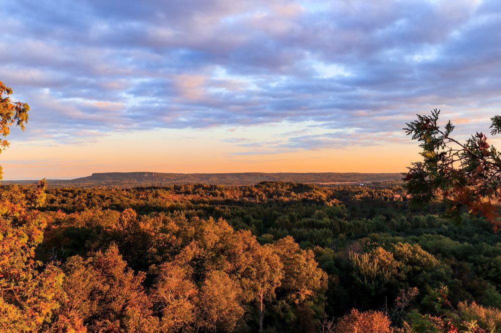 Photograph by Greg Noakes