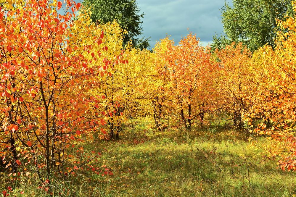 Photograph by Andrey