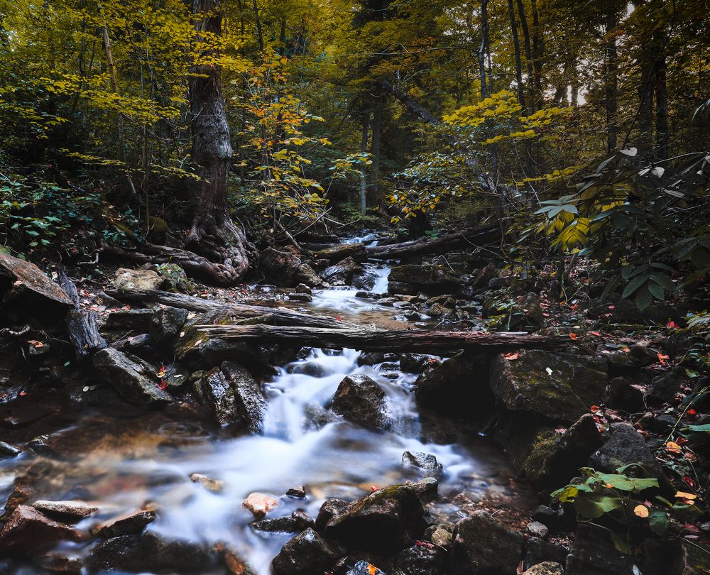 Photograph by Greg Noakes