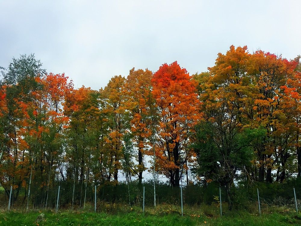 Photograph by Marine Sukiasyan