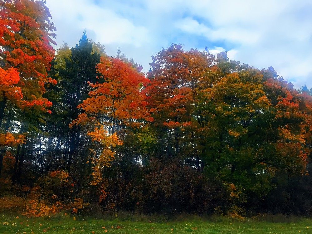 Photograph by Marine Sukiasyan