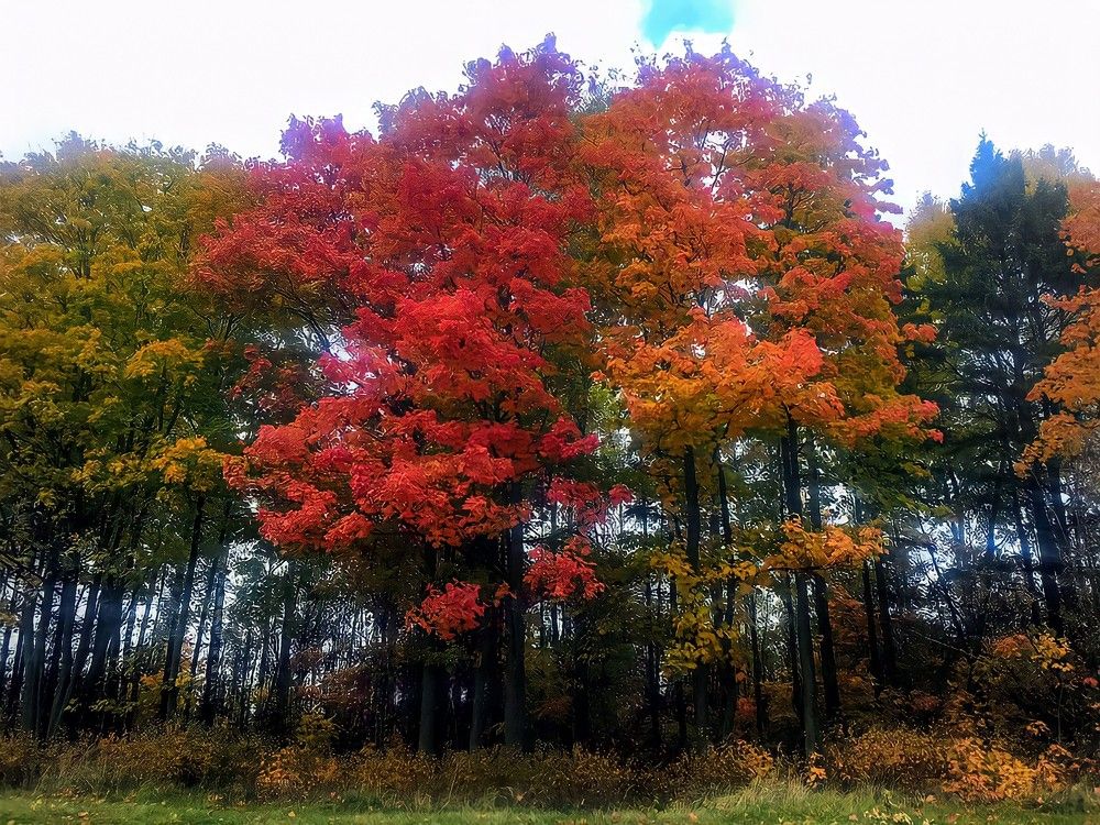 Photograph by Marine Sukiasyan