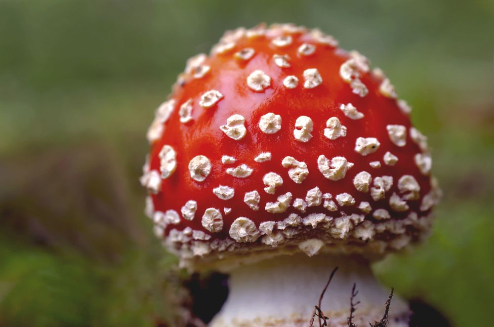 Photograph by Laima Kuriene