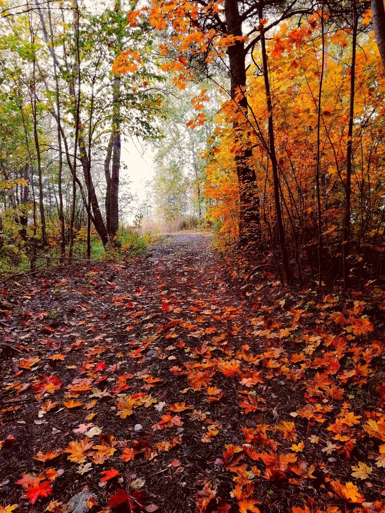 Фотография автора Edīte Ogorodnikova