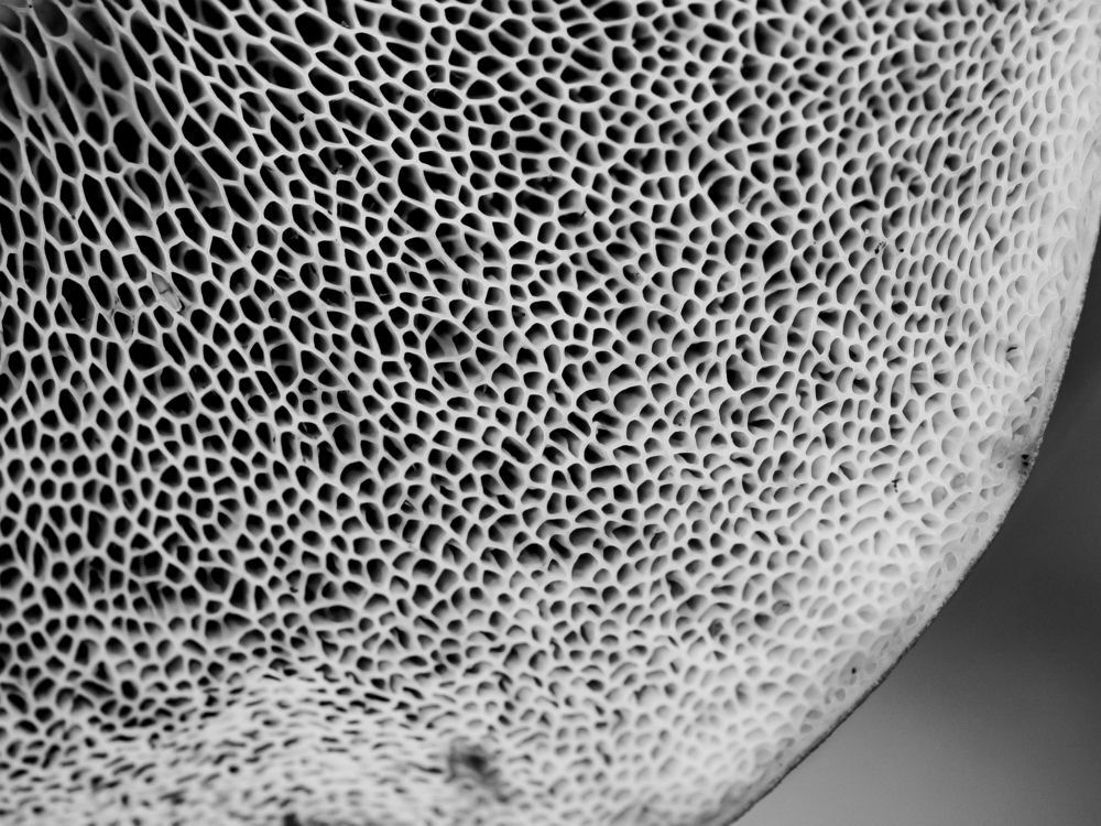 Фотография автора Пётр Чирков