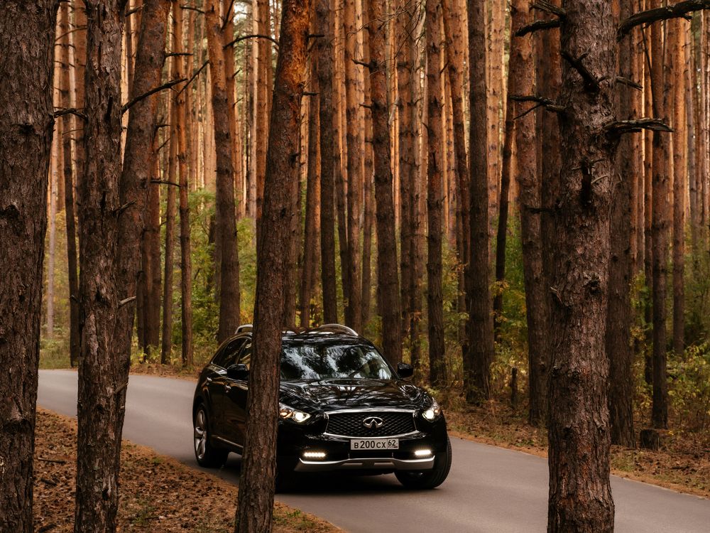 Фотография автора Пётр Чирков