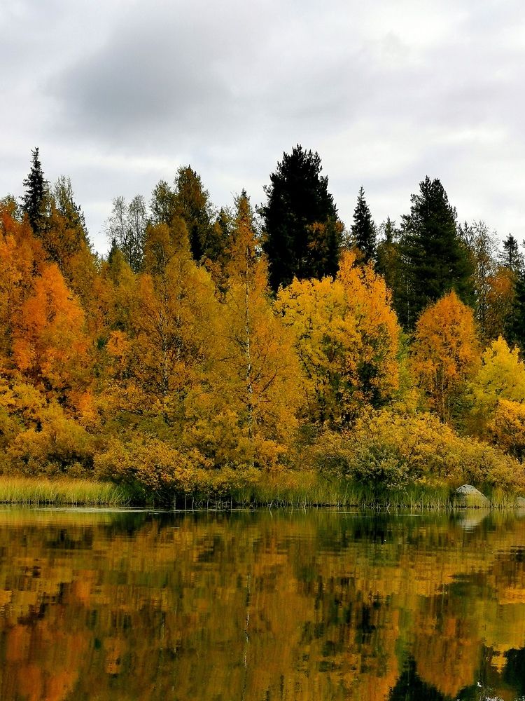 Осень на Кольском полуострове