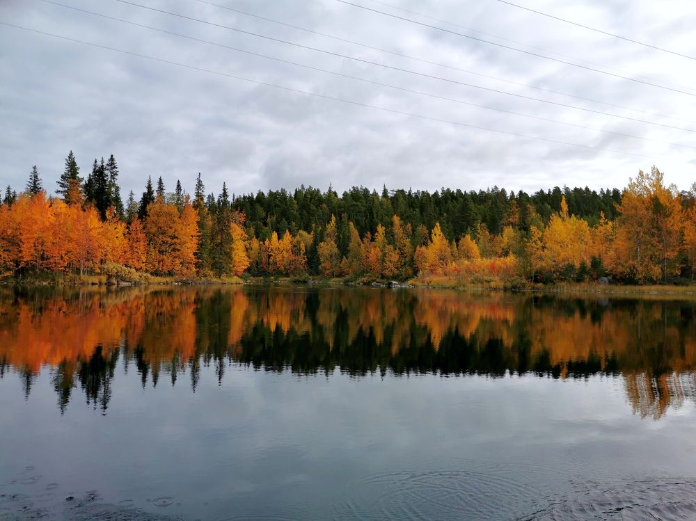 Осень на Кольском полуострове