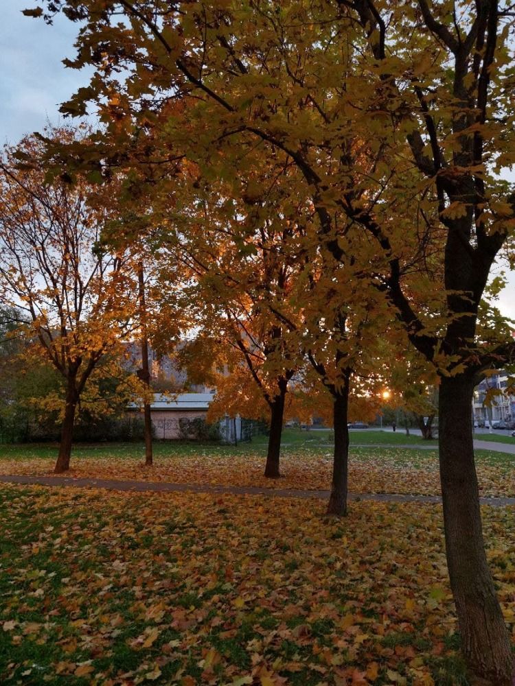 Photograph by Дмитрий Завьялов