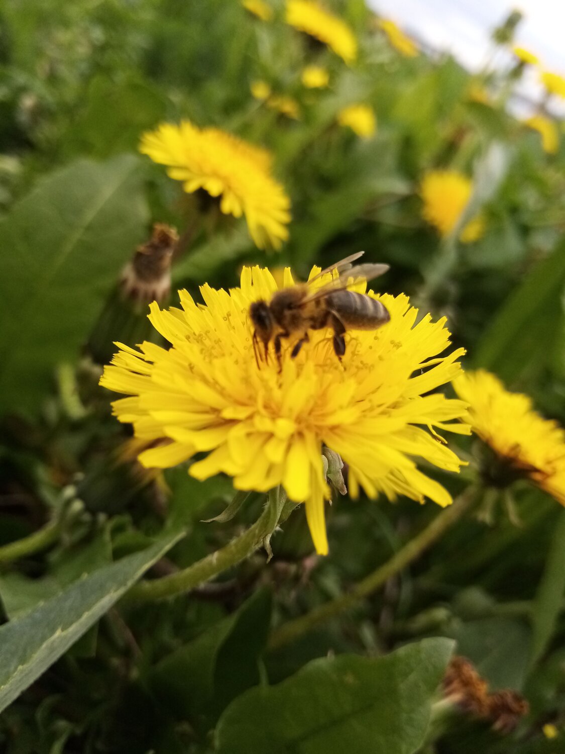 Photo #6568944
