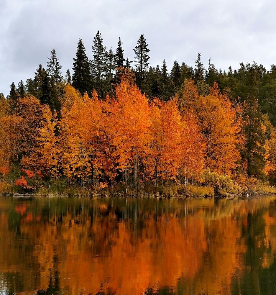 Осень на Кольском полуострове