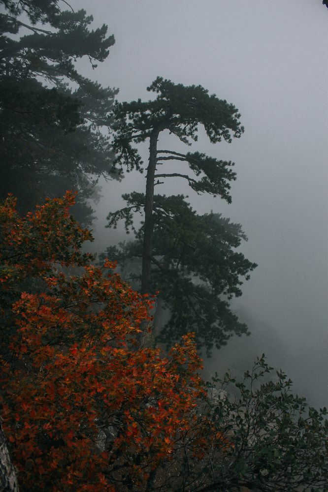 Photograph by Айрат Ахметов