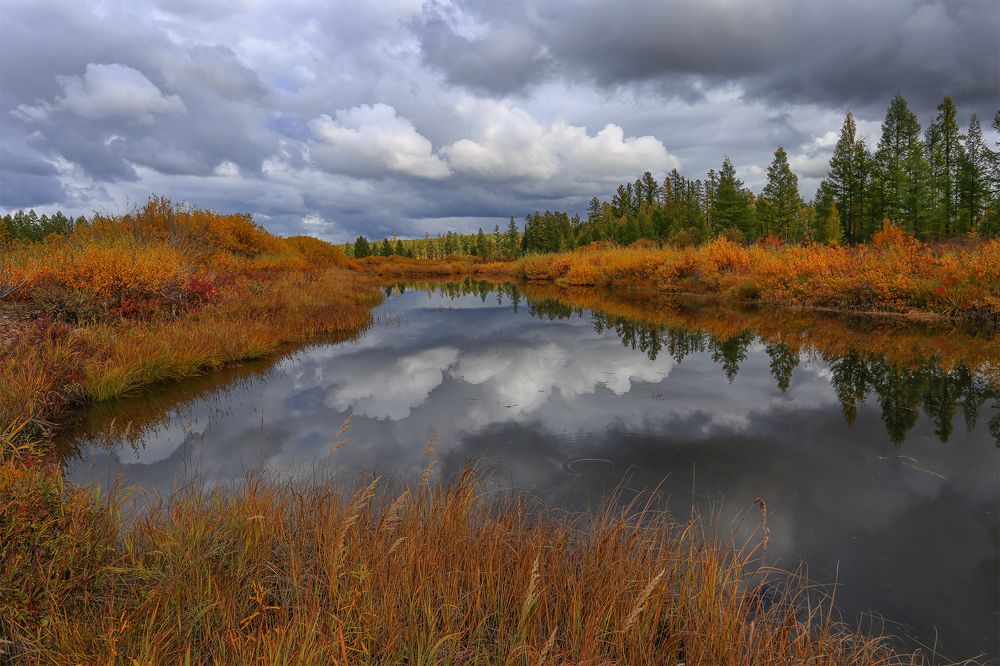 Photograph by Евгения Левина