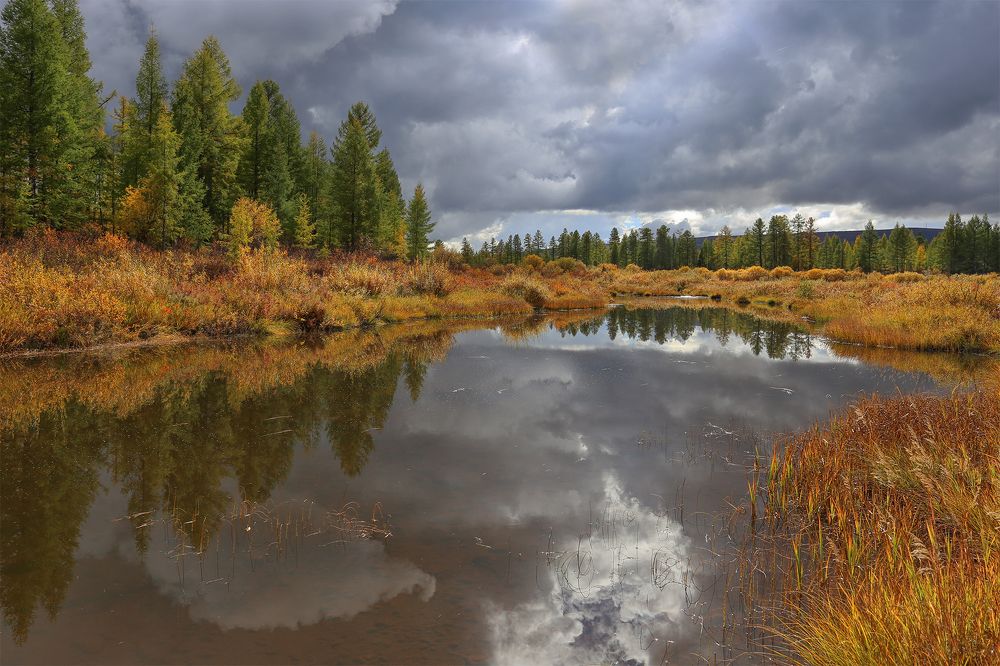 Photograph by Евгения Левина