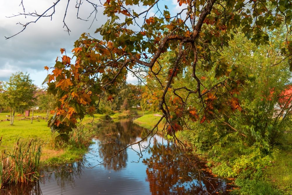 Фотография автора Юрий Макаров