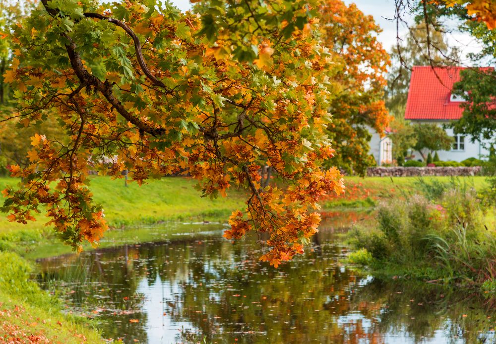 Фотография автора Юрий Макаров