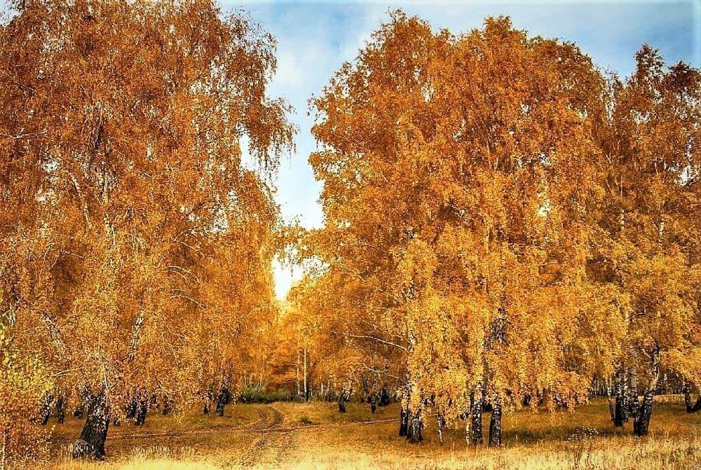 Photograph by Галина