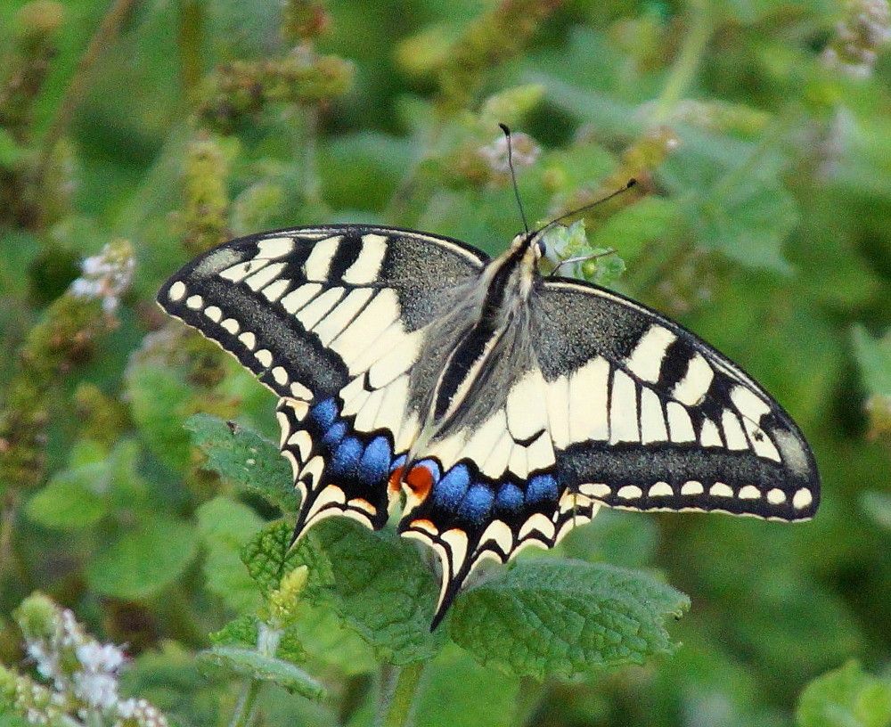 Photograph by Наталья Степаненко