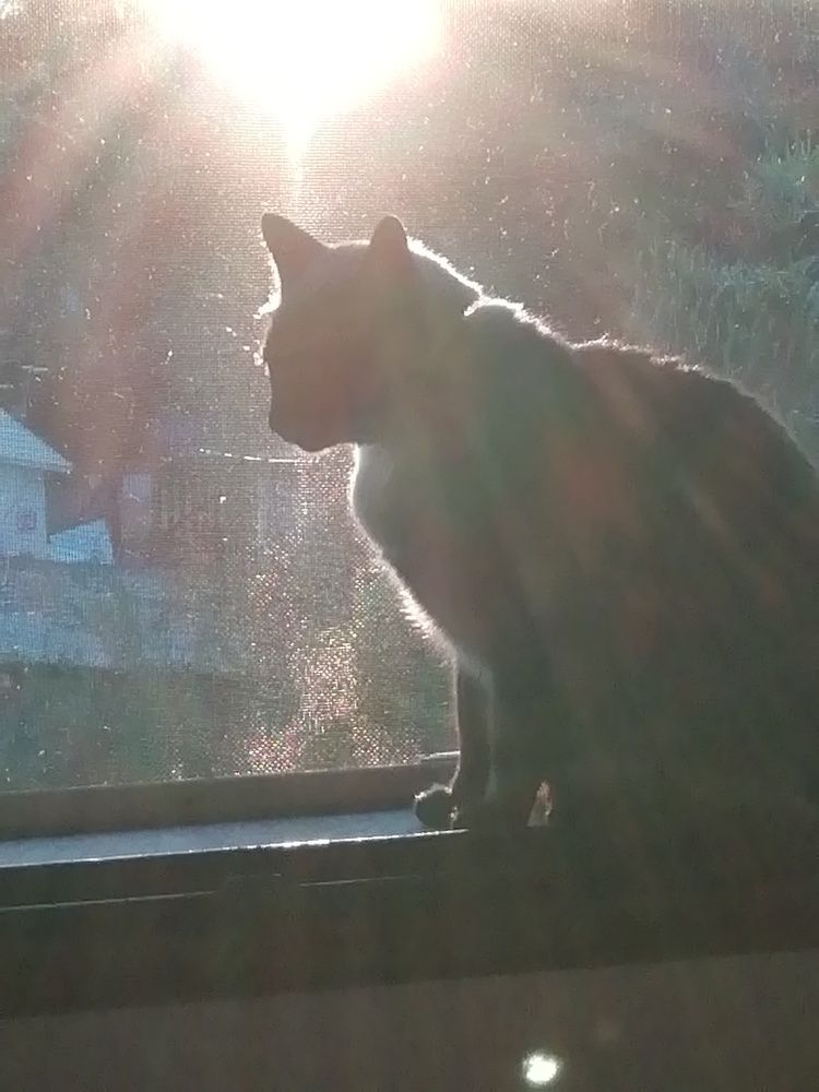 Photograph by Alicia Muñoz