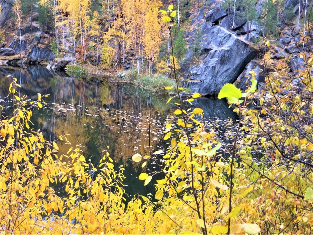 Photograph by Галина