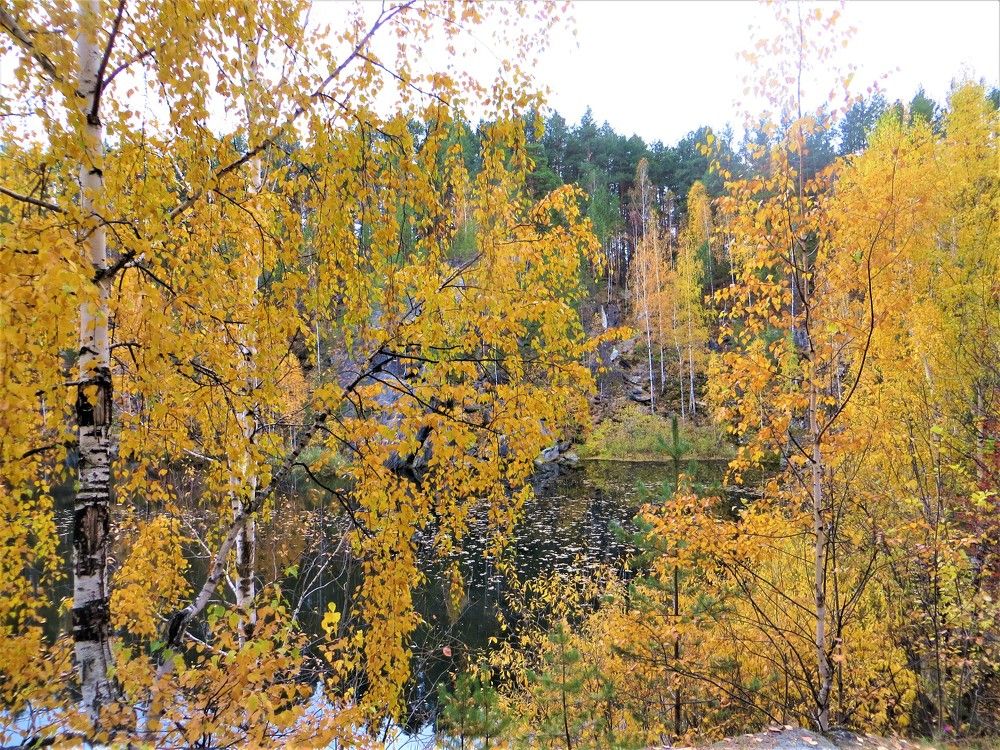 Photograph by Галина