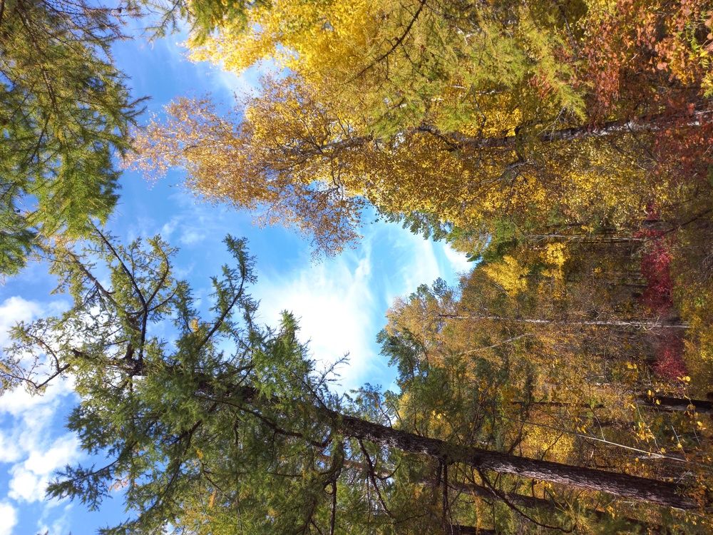 Фотография автора Егор Пешков