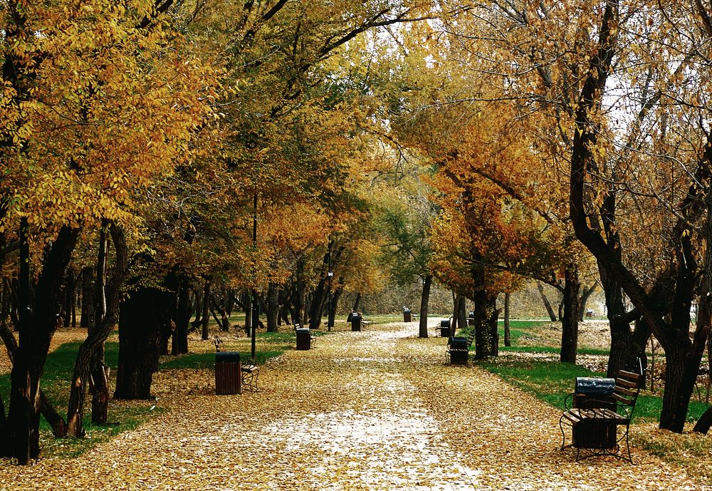 Photograph by Михаил Максимов