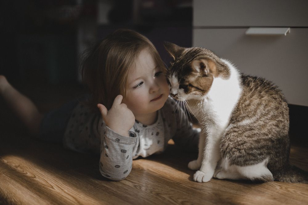 Photograph by Светлана Жукова