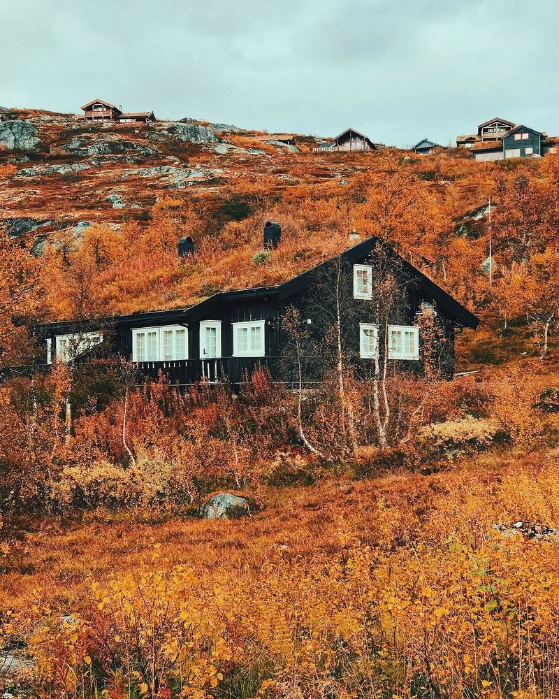 Photograph by Kirill