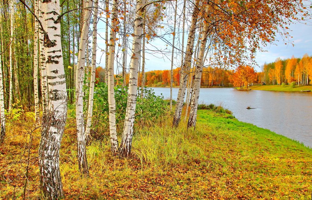 Золотая осень